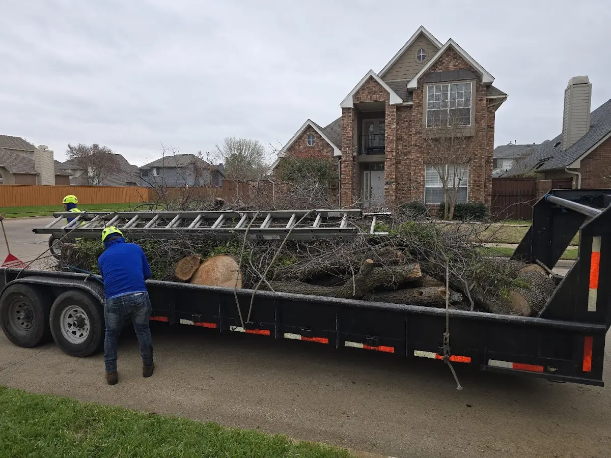 Expert Crown Reduction with proper safety equipment in Richfield